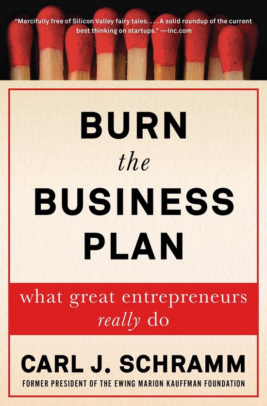 Burn the Business Plan - cover