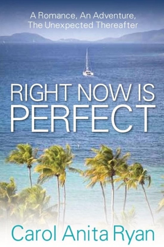 Right Now Is Perfect: A Romance, An Adventure, The Unexpecte ... - cover