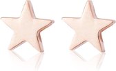 Ear Studs RVS Kleur Rosé Goud - Oorbellen Studs Stainless Steel - Ster - Sarzor