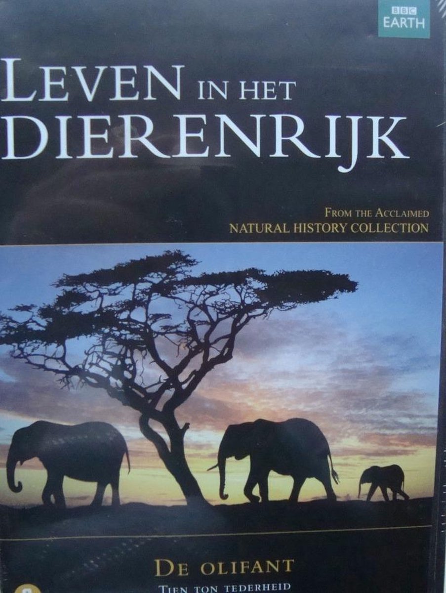Special Interest - Bbc Earth: De Olifant