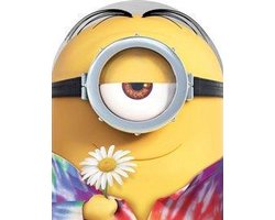 Minions (DVD) - Limited Metal Case Edition - Steelbook Illumination - 2015