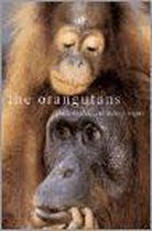 The Orangutans