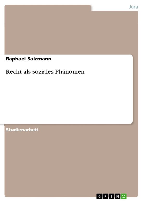Recht als soziales Phänomen - cover