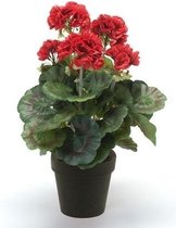 Kunstplant Geranium rood in pot 35 cm - Kamerplant rode Geranium