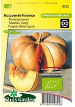 Sluis Garden - Courge muscat - Graines BIO