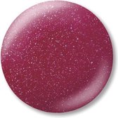 NSI Polish Pro Wild Berry