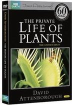 Bbcdvd3717/Private Life Of Plants���