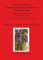 Natural Processes in the Degradation of Open-Air Rock-Art Sites: An urgency intervention scale to inform conservation