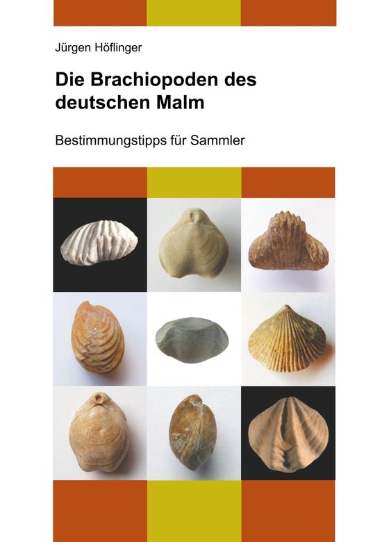 Die Brachiopoden des deutschen Malm - cover