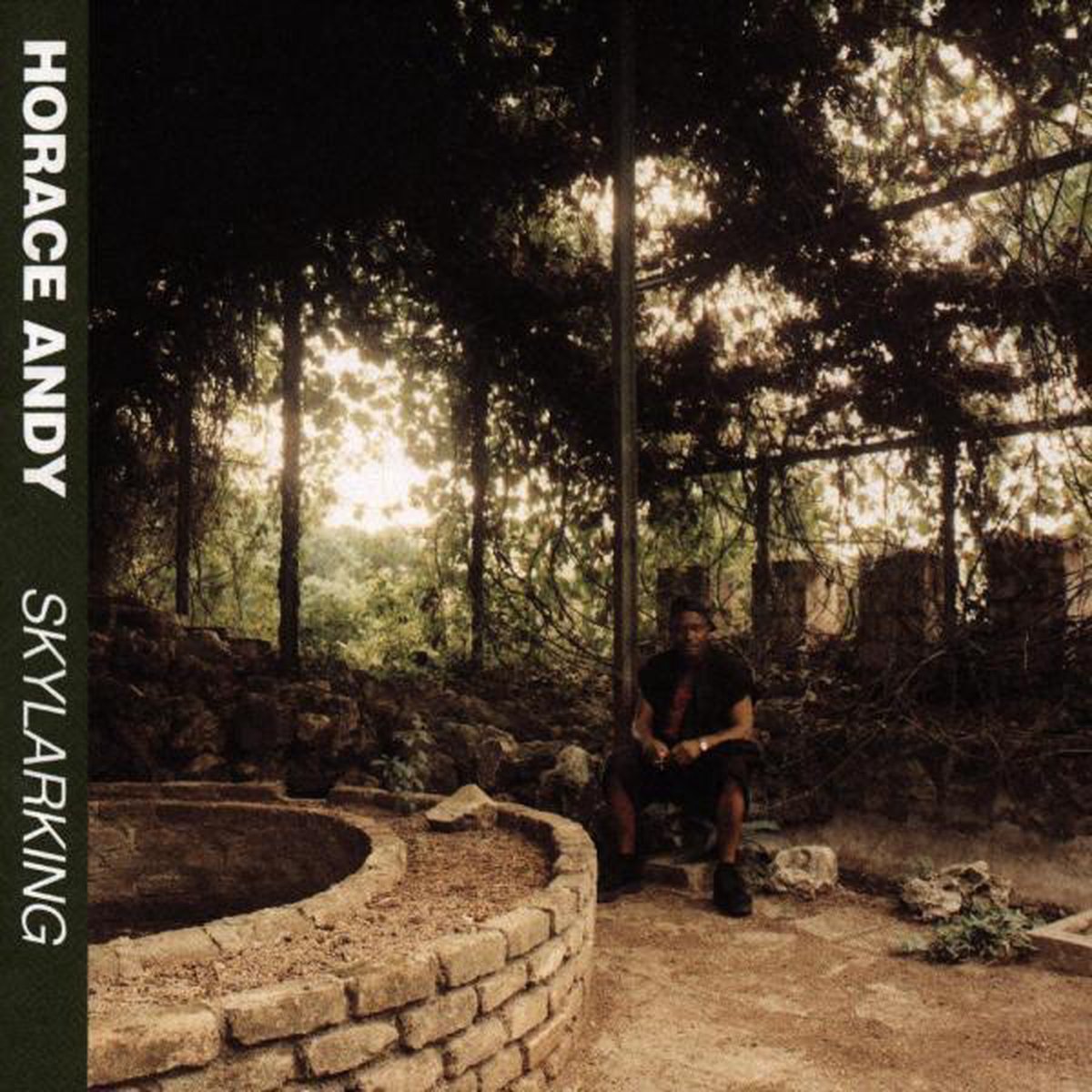 Skylarking: Best Of Horace Andy