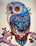 Delki® Diamond Painting Volwassenen Blauwe Uil - 40 kleuren - Rond - 30x40cm