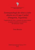 Zooarqueologia de Sitios A Cielo Abierto en el Lago Cardiel (Patagonia, Argentina)
