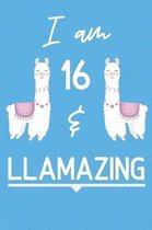 I Am 16 And Llamazing