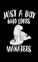 Just A Boy Who Loves Manatees