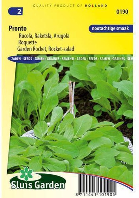 Sluis Garden Rucola Pronto (Eruca sativa)