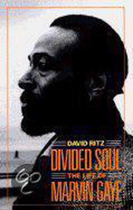 Divided Soul - cover