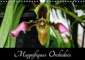 Woehlke, J: Magnifiques Orchidées (Calendrier mural 2018 DIN