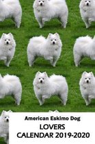 American Eskimo Dog Lovers Calendar 2019-2020