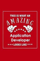 This is What an Amazing Application Developer Look Like