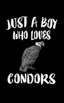 Just A Boy Who Loves Condors