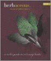 Herbaceous
