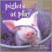 Piglets at Play