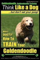 Goldendoodle, Goldendoodle Training - Think Like a Dog But Don't Eat Your Poop!
