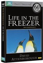 Life In The Freezer