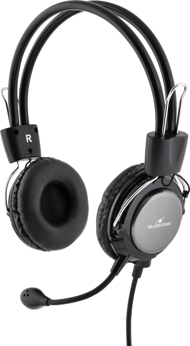 Bluestork MC-201 hoofdtelefoon/headset Hoofdband Zwart, Zilver