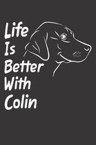 Life Is Better With Colin