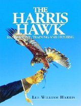 The Harris Hawk