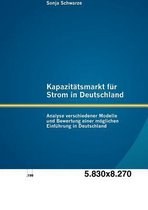 Kapazitätsmarkt für Strom in Deutschland: Analyse verschiedener Modelle und Bewertung einer möglichen Einführung in Deutschland