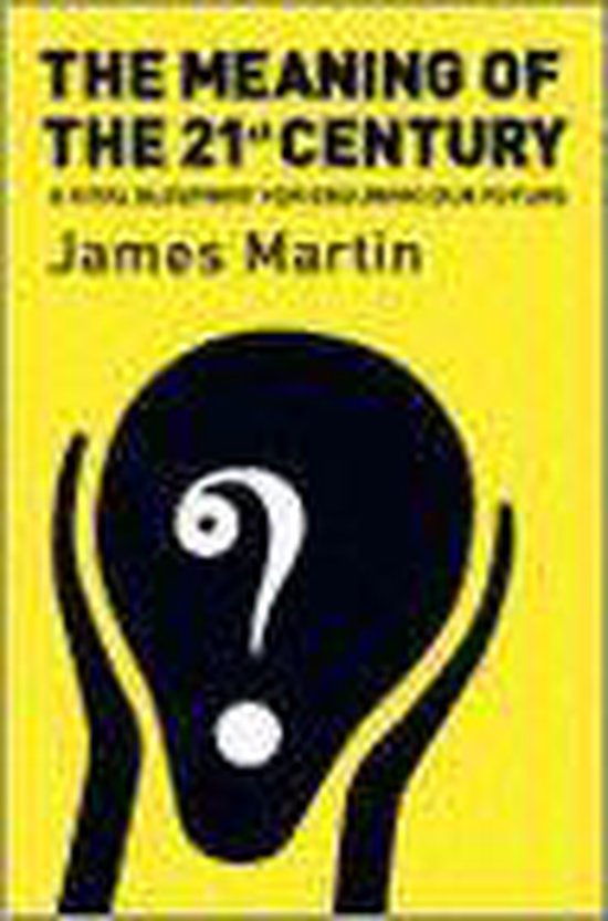 The Meaning Of The 21St Century - cover