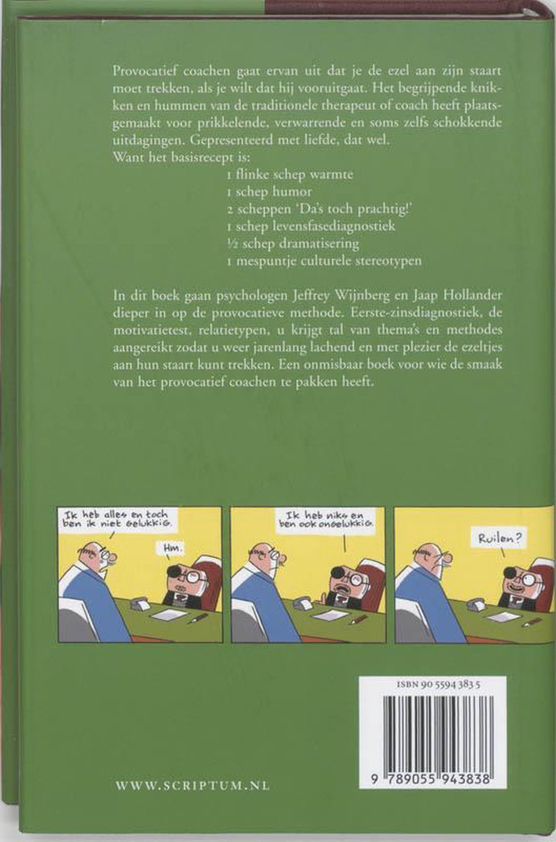 Succes is ook niet alles - back cover