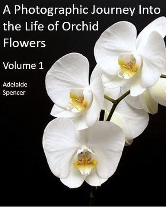 A Photographic Journey Into The Life of Orchid Flowers - cover
