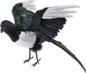 Ekster