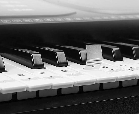 Thumbnail van een extra afbeelding van het spel Piano Stickers – Noten labels – Piano spelen voor Beginners – 88 Stuks – Keyboard & Piano - Eenvoudig Leren Spelen