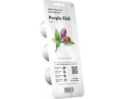 Purple Chilli Refill 3-Pack