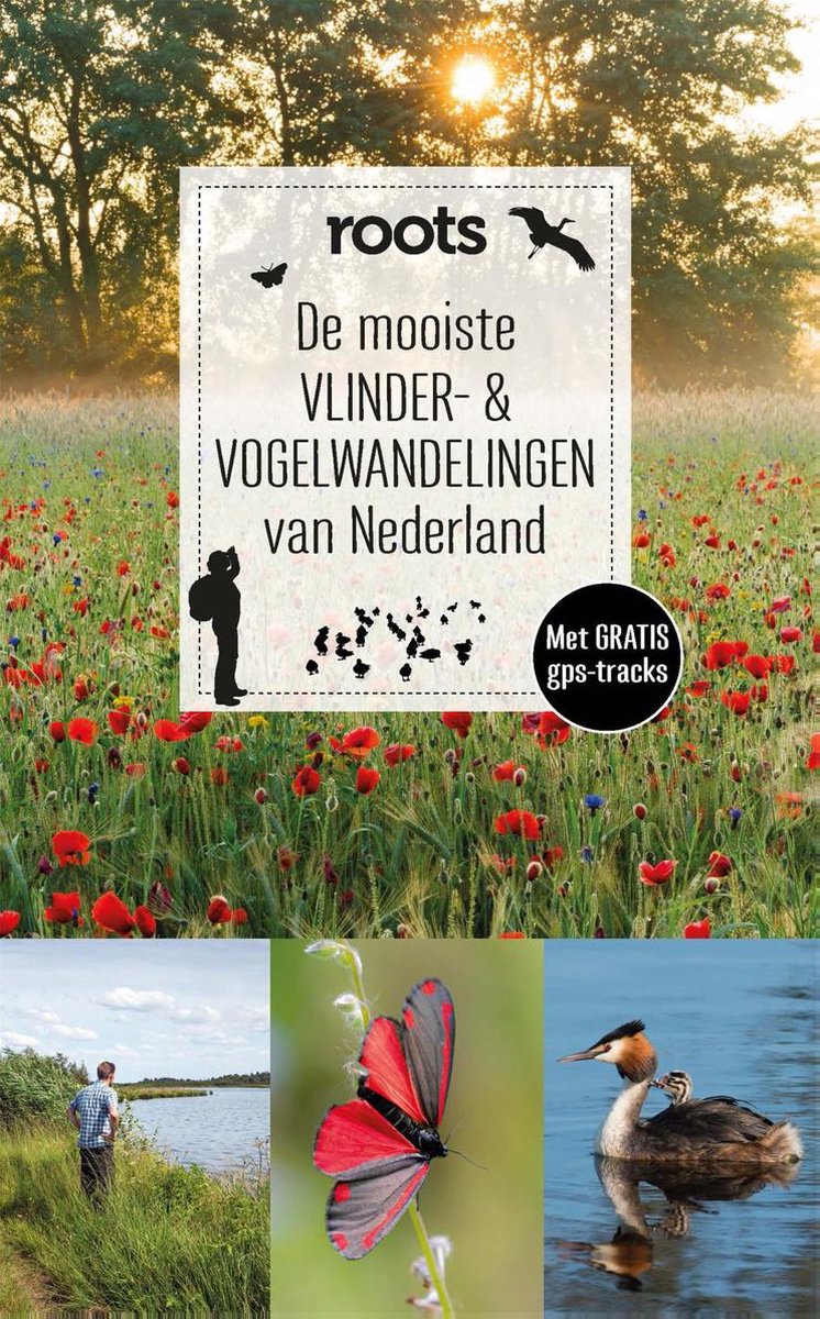Roots wandelgids 3 - De mooiste vlinder- & vogelwandelingen van Nederland - Roots