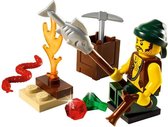 LEGO - Pirates - Piratenexpeditie - 8397