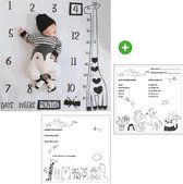 Babyshower pakket - Mijlpaaldeken + invulkaarten - Mijlpaal - raadkaarten - kraamcadeau - babyshowercadeau