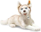 Steiff Siberische Dui Husky hond 35 cm. EAN 033070