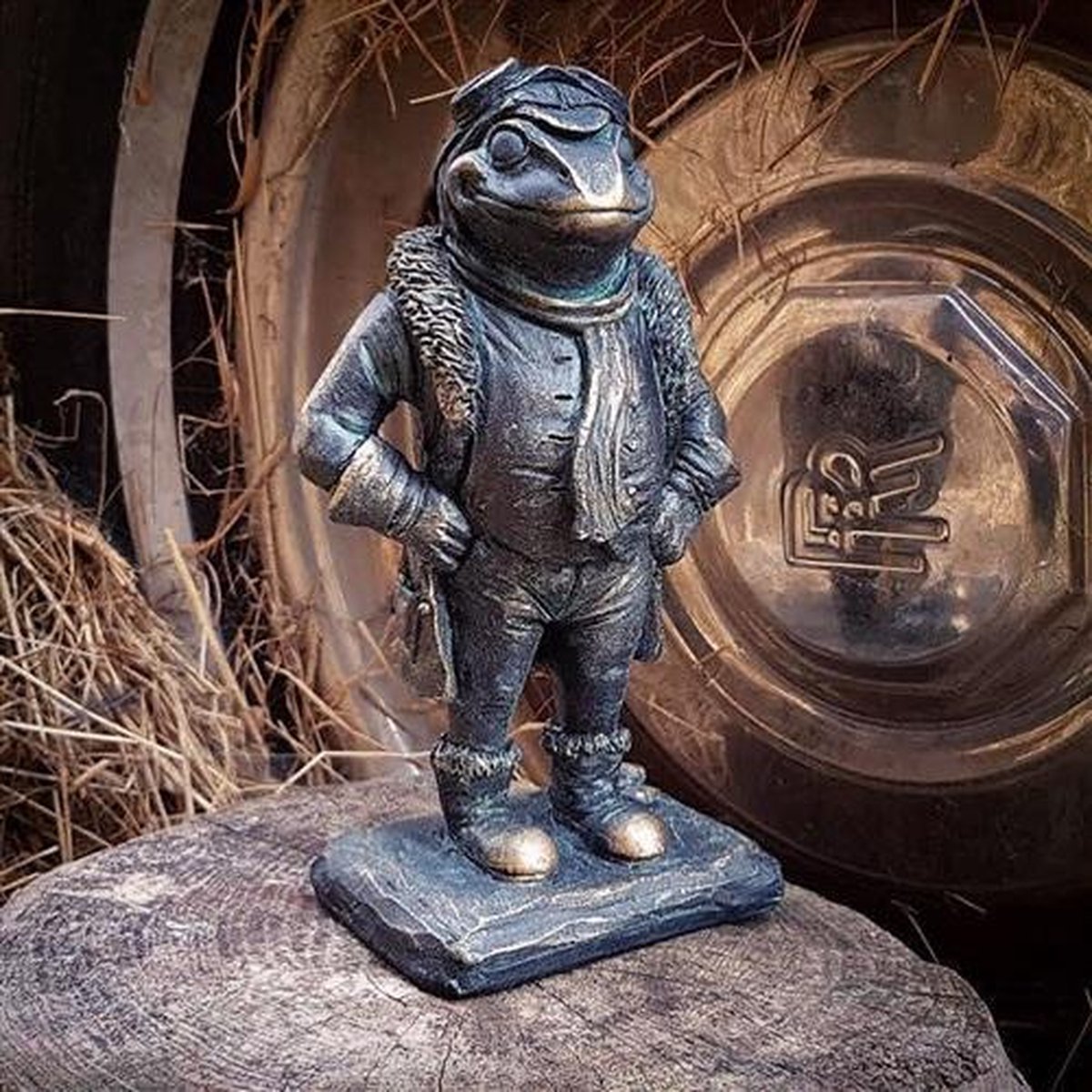 Mr Toad - beeld pad