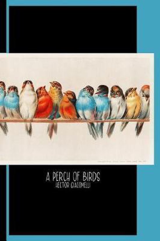 A Perch Of Birds 1880 By Hector Giacomelli 1822 1904 College Ruled Notebook