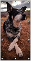 Tuinposter – Rustende Hond– 100x200cm Foto op Tuinposter (wanddecoratie voor buiten en binnen)