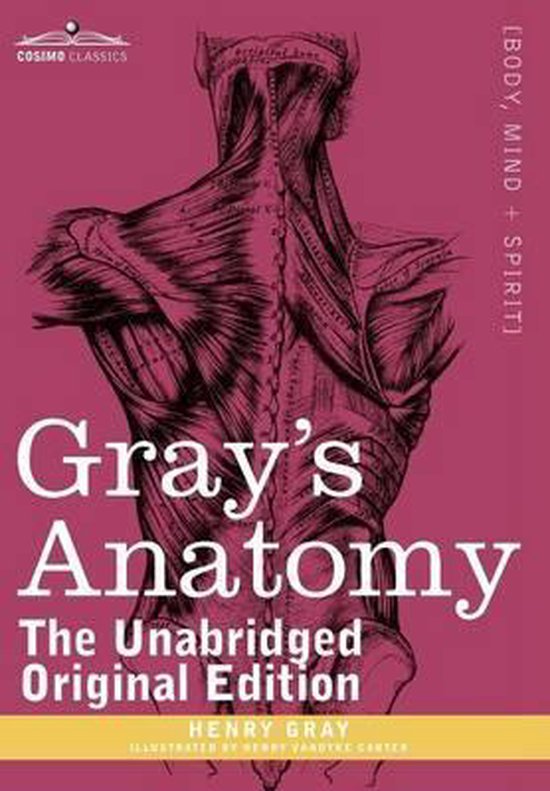 Gray's Anatomy - cover