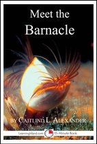 15-Minute Books - Meet the Barnacle: A 15-Minute Book for Early Readers