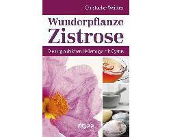 Wunderpflanze Zistrose