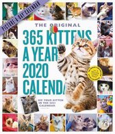 2020 365 Kitten a Year Picture a Day Calendar