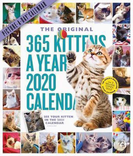 2020 365 Kitten a Year Picture a Day Calendar